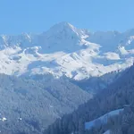 Διαμέρισμα Rudigier Bartholomäberg