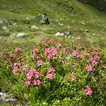 Rudigier Διαμέρισμα Bartholomäberg