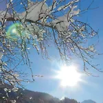 Rudigier Διαμέρισμα