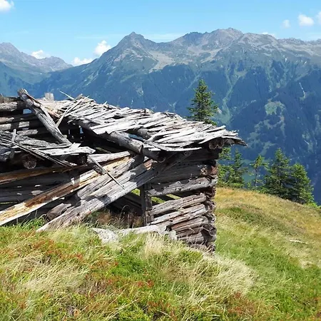 Rudigier
