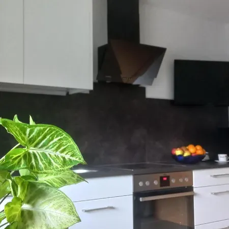 Apartment Rudigier *